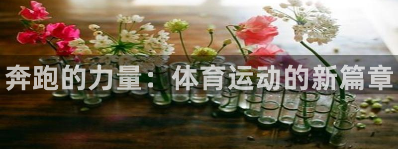 vsport体育官方正版app集团官网网址:奔跑的力量:体育