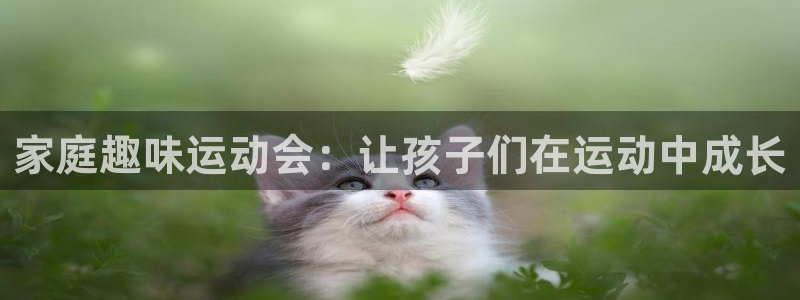 vsport体育官网下载招商电话是多少:家庭趣味运动会:让孩